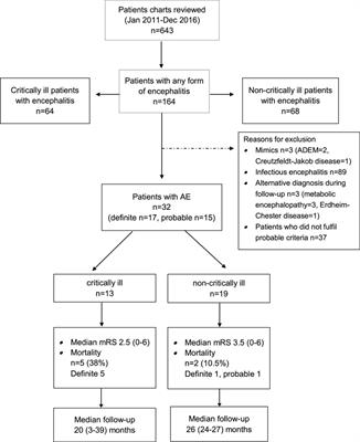 Risk Factors for Intensive Care Unit Admission in Patients with Autoimmune Encephalitis